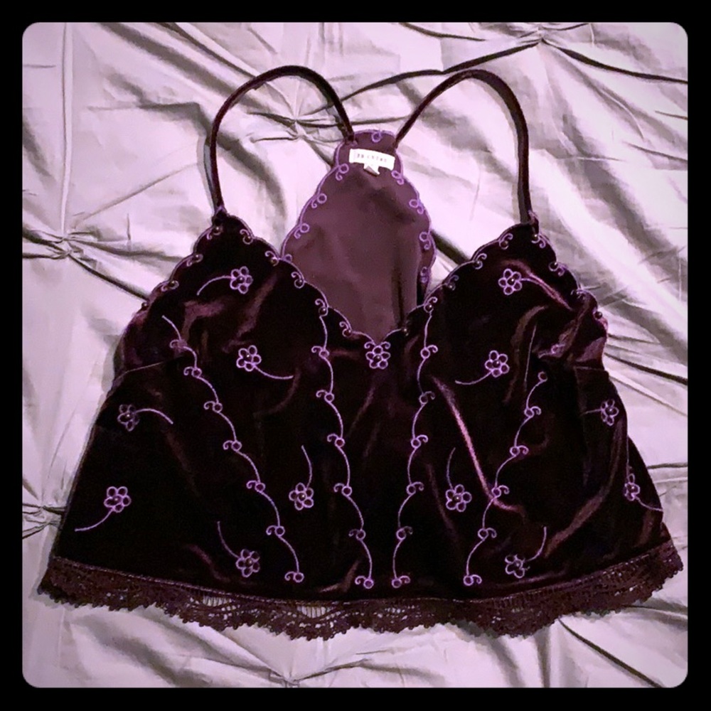 Purple Velvet Embroidered Crop Top